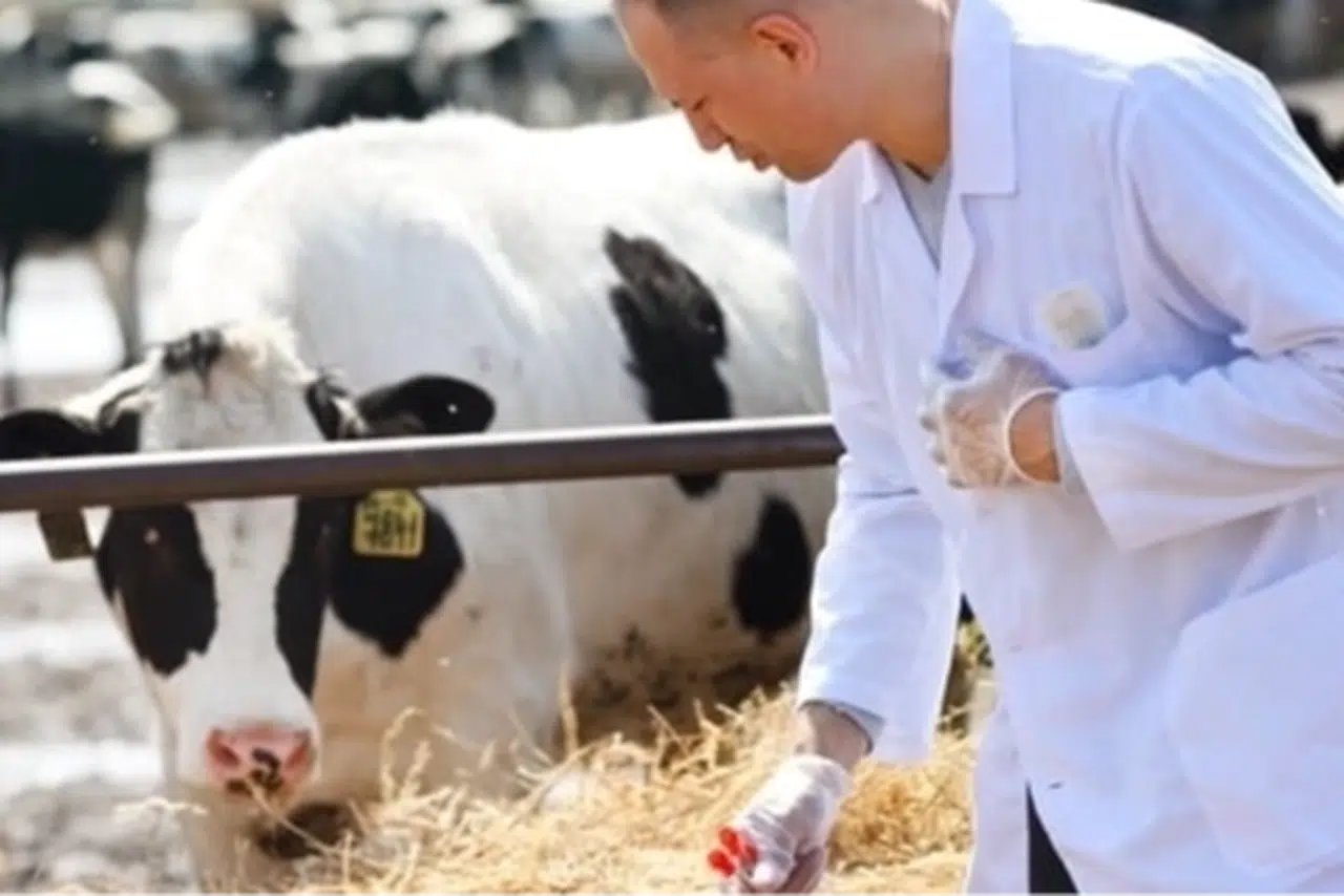 Tarımsal girdiler Nisan'da da hız kesmedi... Veteriner harcamaları ve hayvan yemi  revaçta