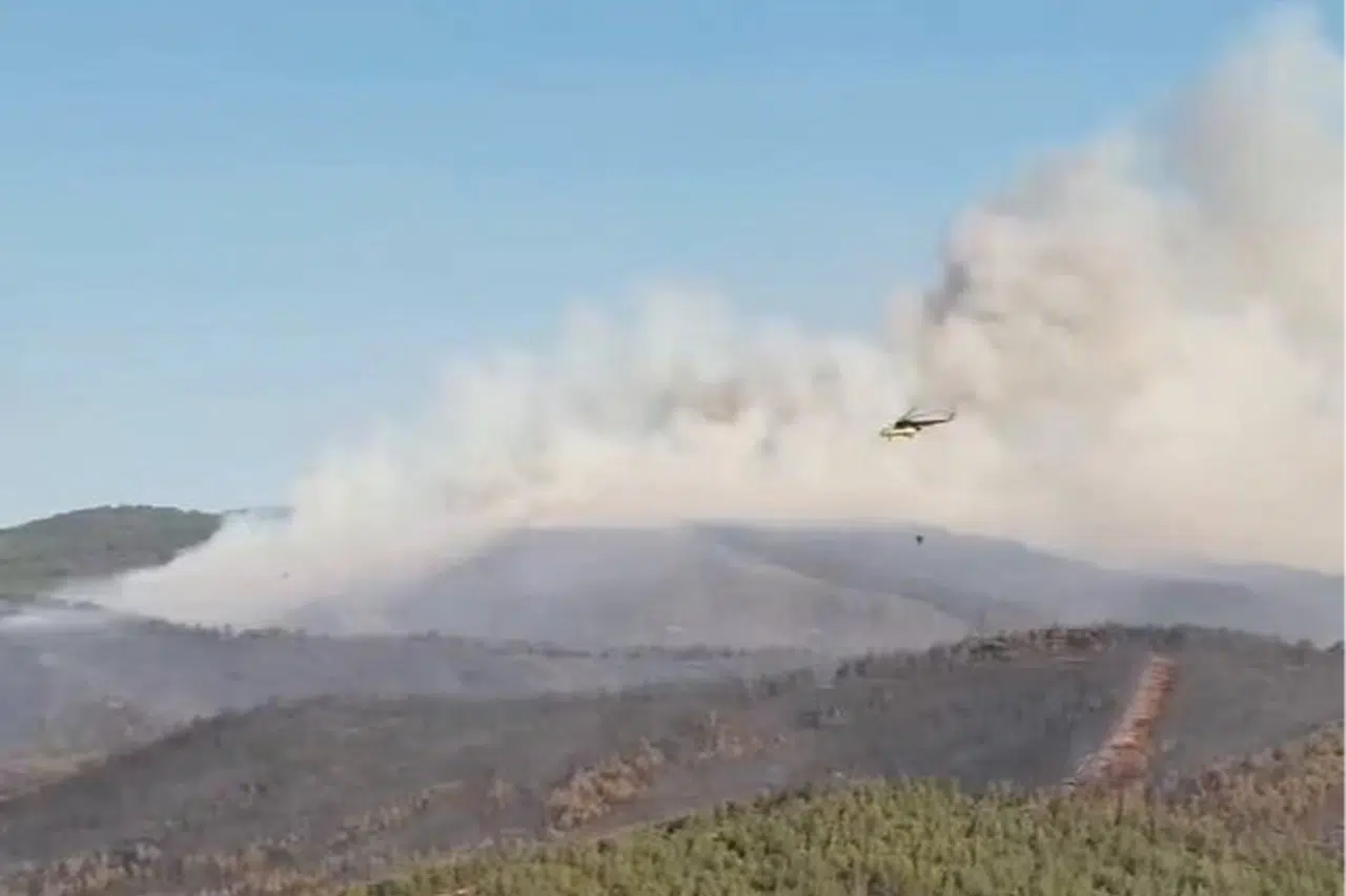 Türkiye'de orman yangınlarında 17 şüpheli gözaltında