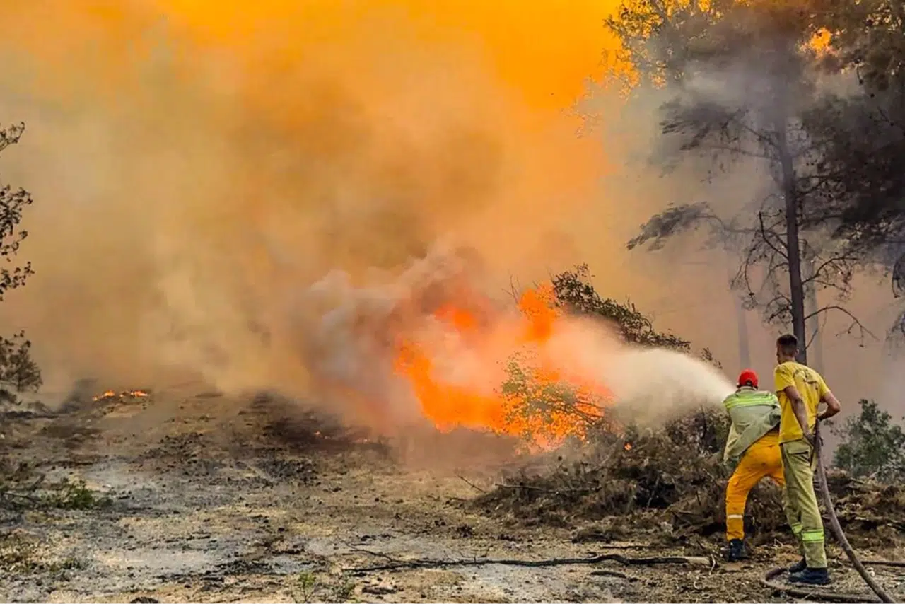 Türkiye'nin dört bir yanında orman yangınlarına karşı yoğun mücadele... Yeşil Vatan için özverili çalışma