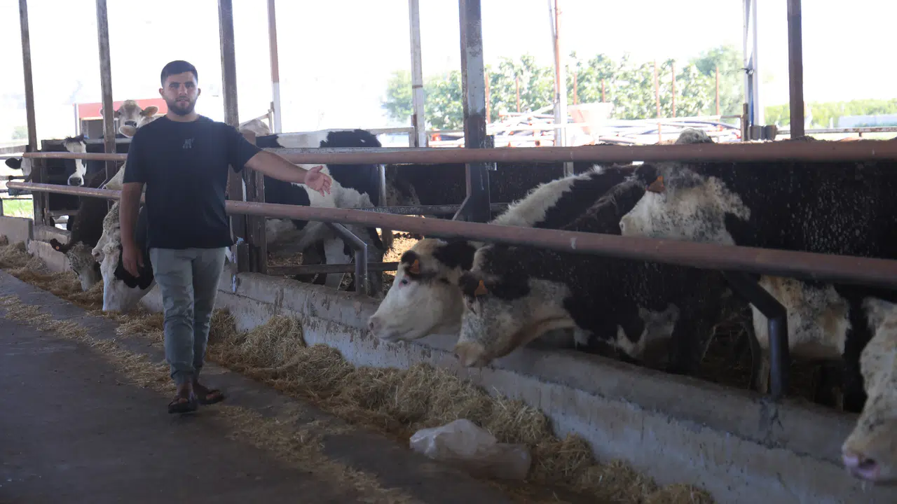 El Ele Geldiler, Yan Yana Sınava Girdiler: Karı Koca Çiftin Üniversite Hayali