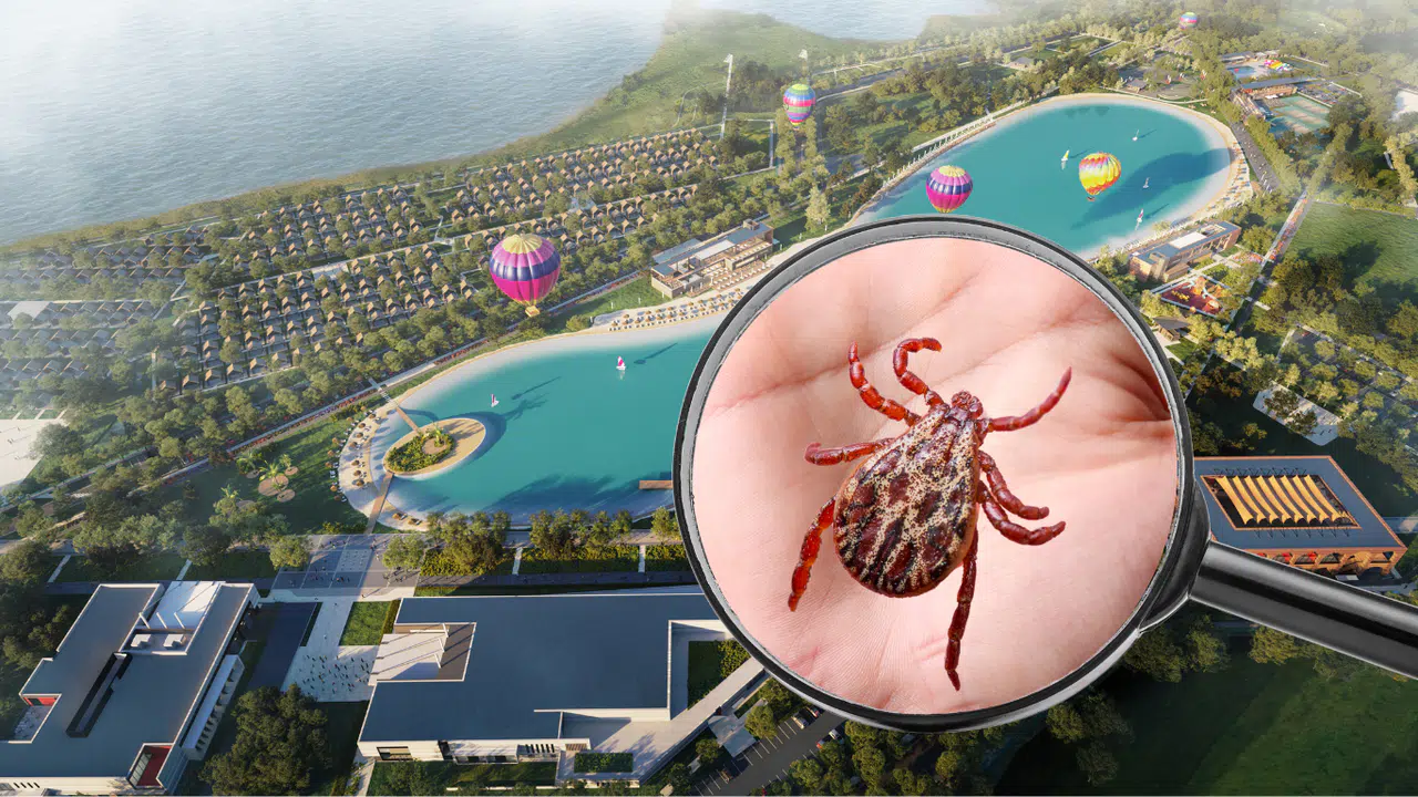 Kahramanmaraş EXPO Alanında Kene Tedirginliği: Vatandaşlar Endişeli