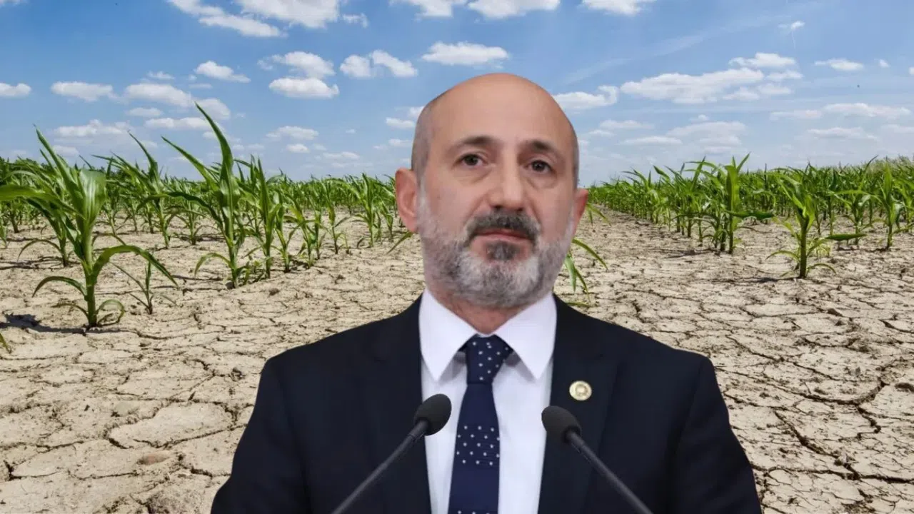 Kahramanmaraş'ta Tarım Arazileri Kuraklıkla Burun Buruna