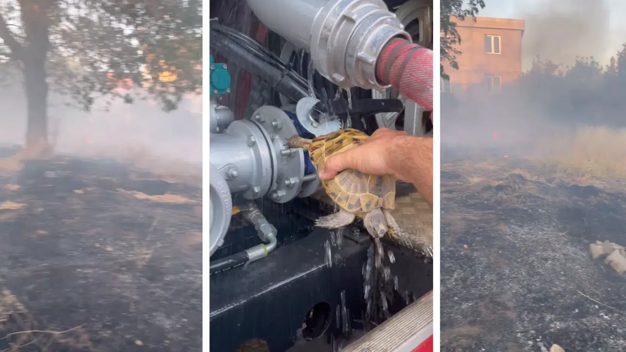 Kahramanmaraş'ta Bahçe Yangını Korkuttu