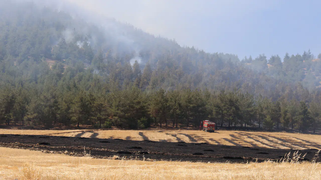 Kahramanmaraş'ta Yakılan Anız, Orman Yangınına Neden Oldu: Müdahale Sürüyor