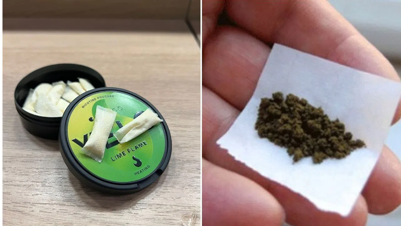 Maraş Otuna Rakip Geldi “Snus”