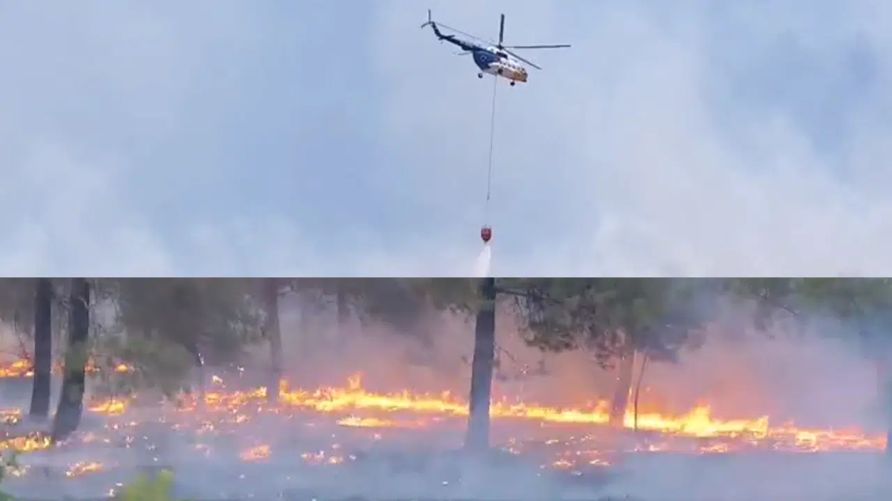 Kahramanmaraş’ta 2 Günde 4 Büyük Yangın: Yetkililerden “Yeşil Vatan” Uyarısı