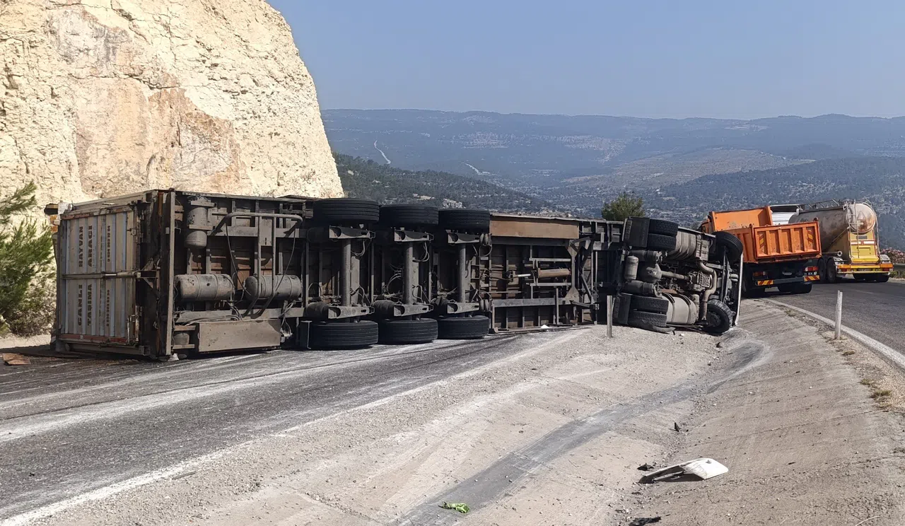 Angus Yüklü Tır Devrildi, Kaçan Hayvanlar Yakalandı