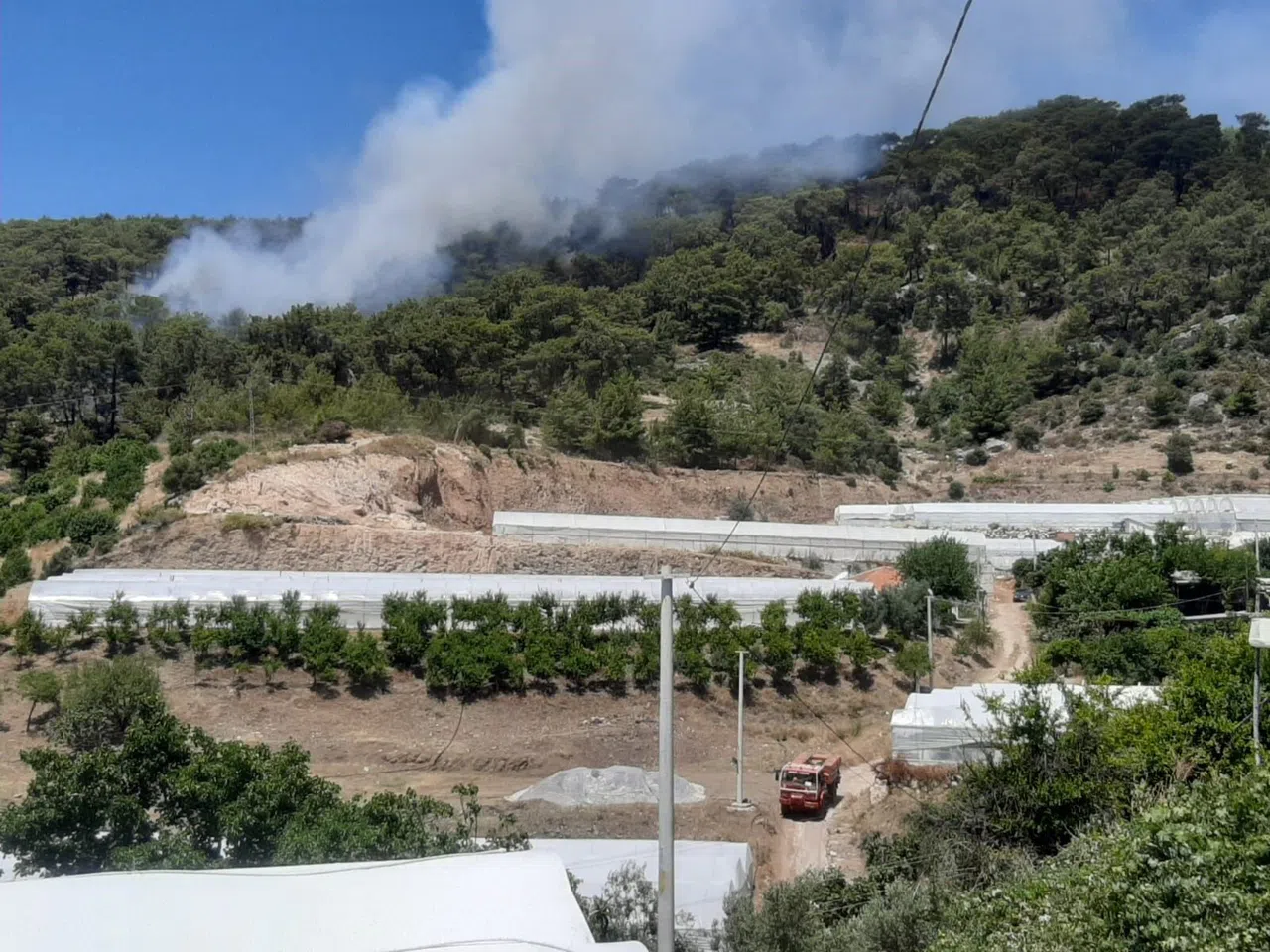Antalya'da Orman Yangını