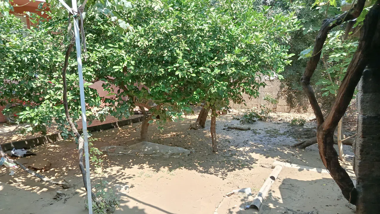 ASKİ'nin İçme Suyu Hattı Patladı: Mahalle Göle Döndü, Birçok Ev Zarar Gördü