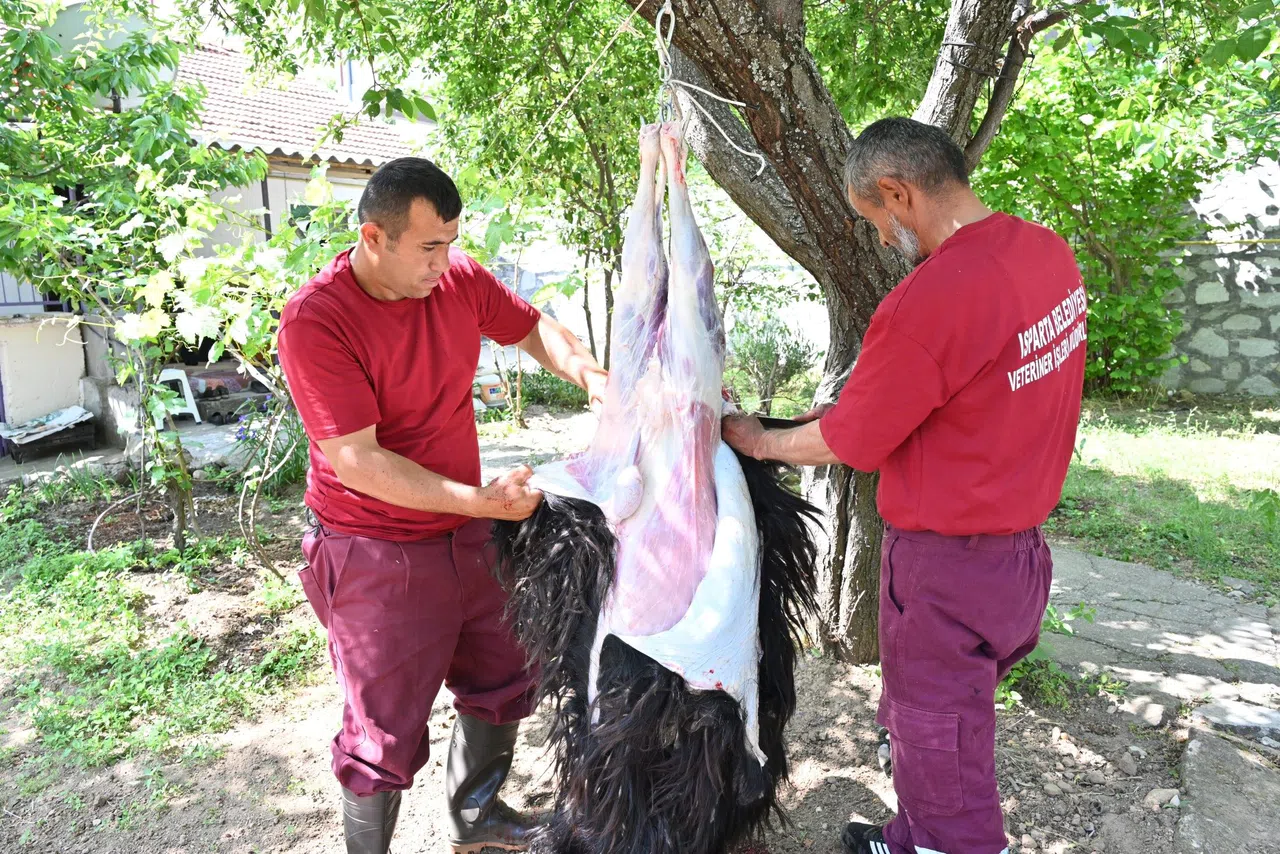 Belediye Evlere Giderek Tek Tek Kurbanları Kesti