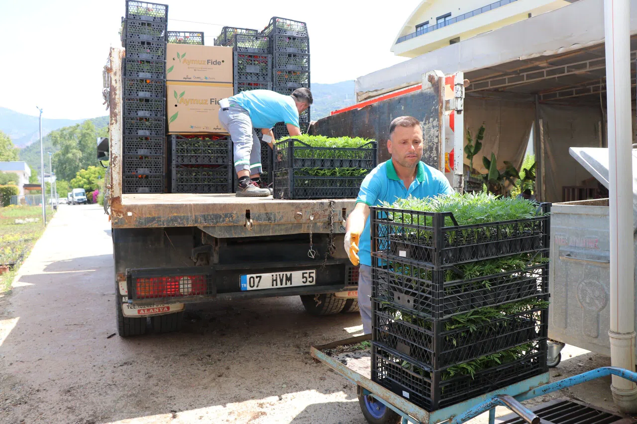 Belediye Arife Günü Mezarlıklarda Çiçek Dağıtacak