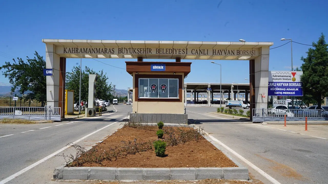 Kahramanmaraş’ta Kurbanlık Hareketliliği: Hayvan Borsası Bayrama Hazır