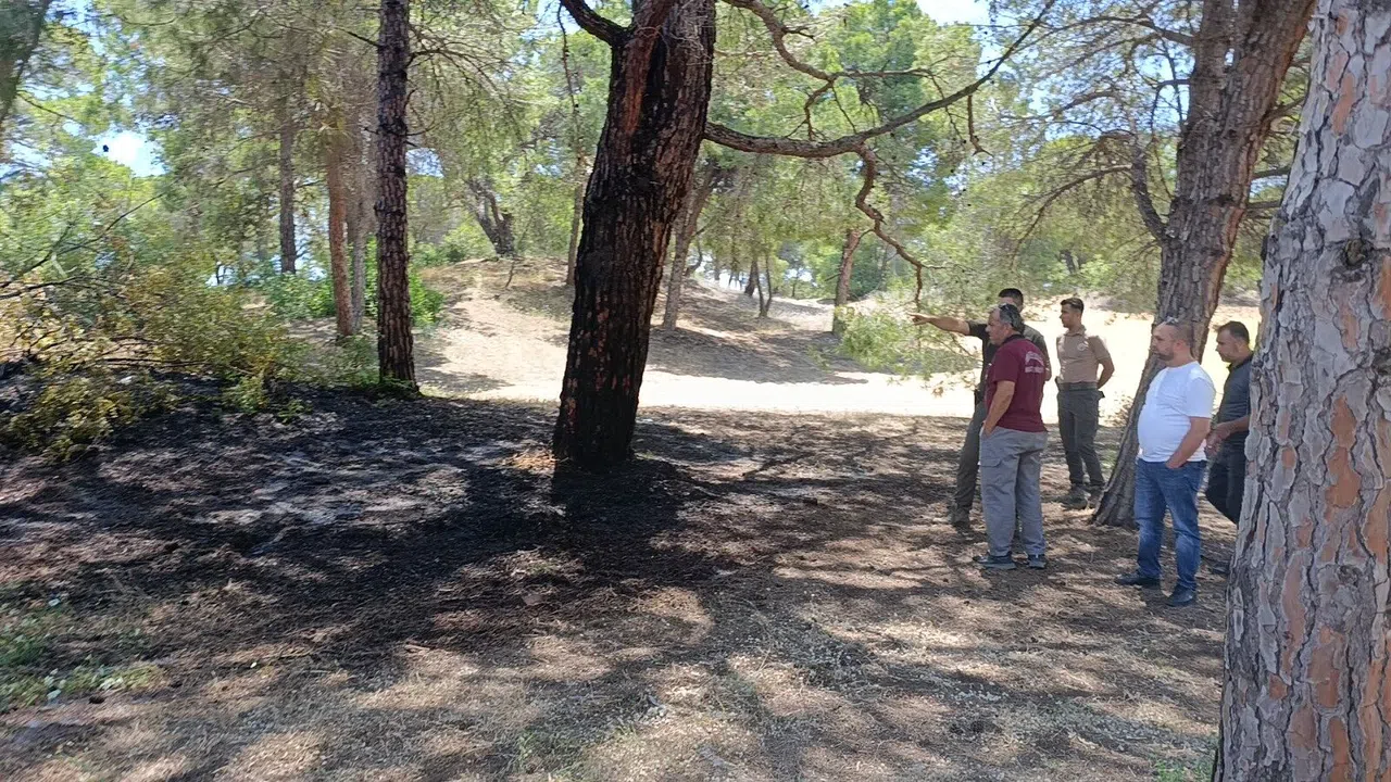 Çalılık Yangını Büyümeden Söndürüldü