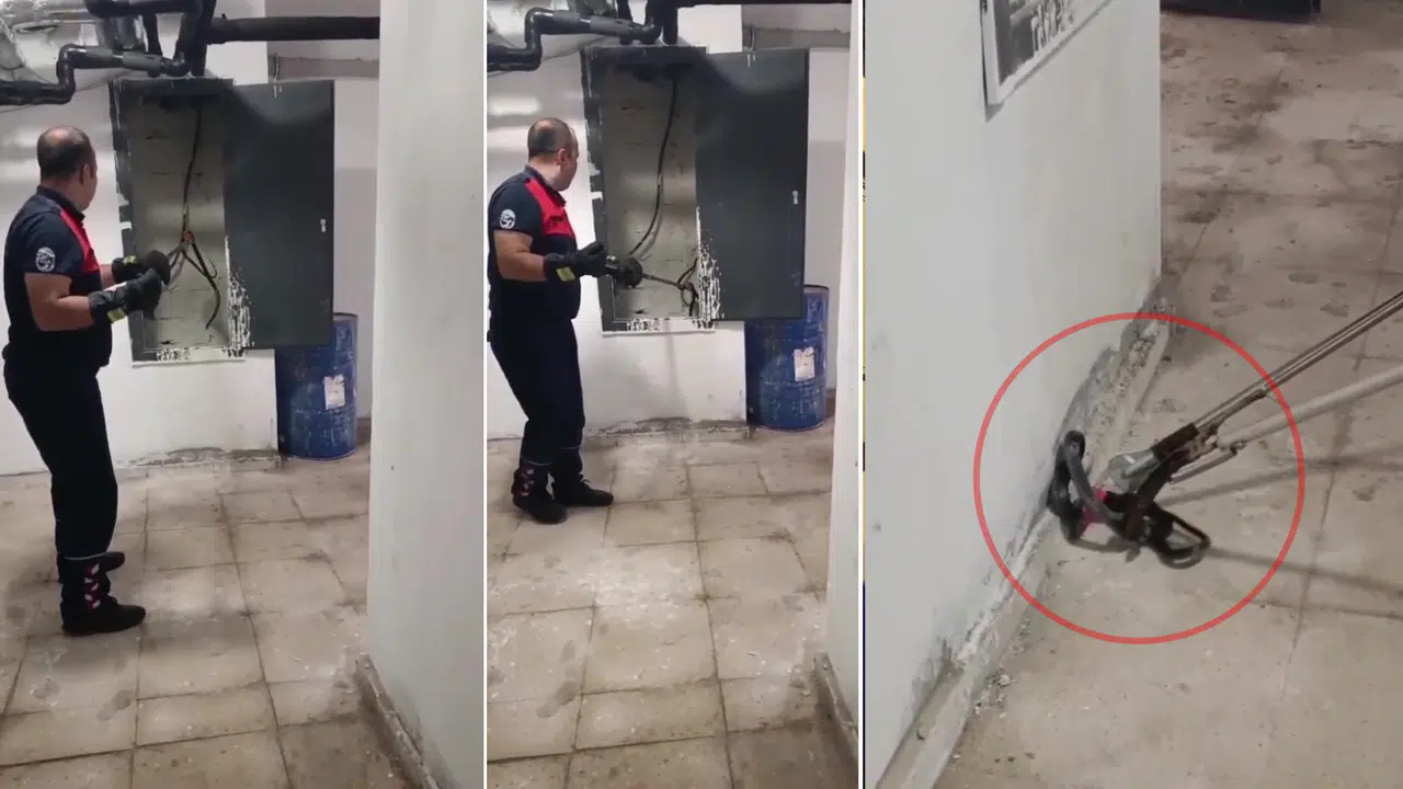 Kazan Dairesinde Yılan Paniği