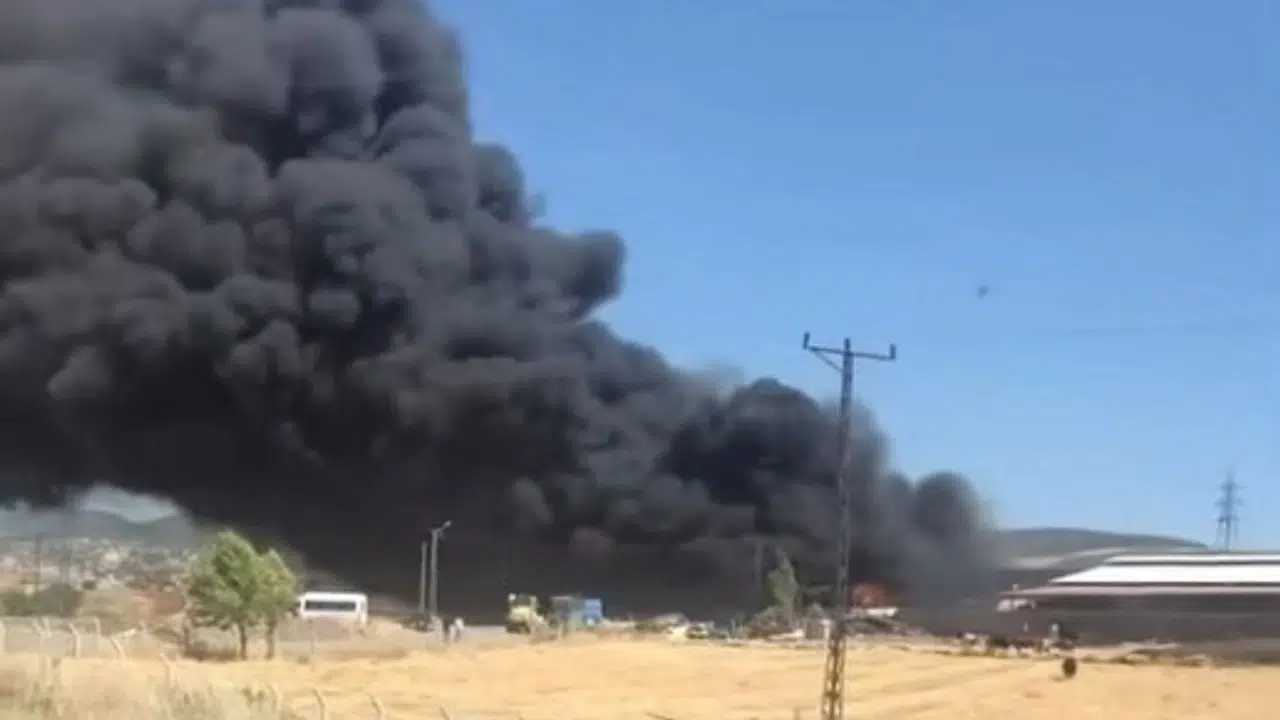 Kahramanmaraş’ta Çiftlik Yangını: Çok Sayıda Hayvan Telef Oldu