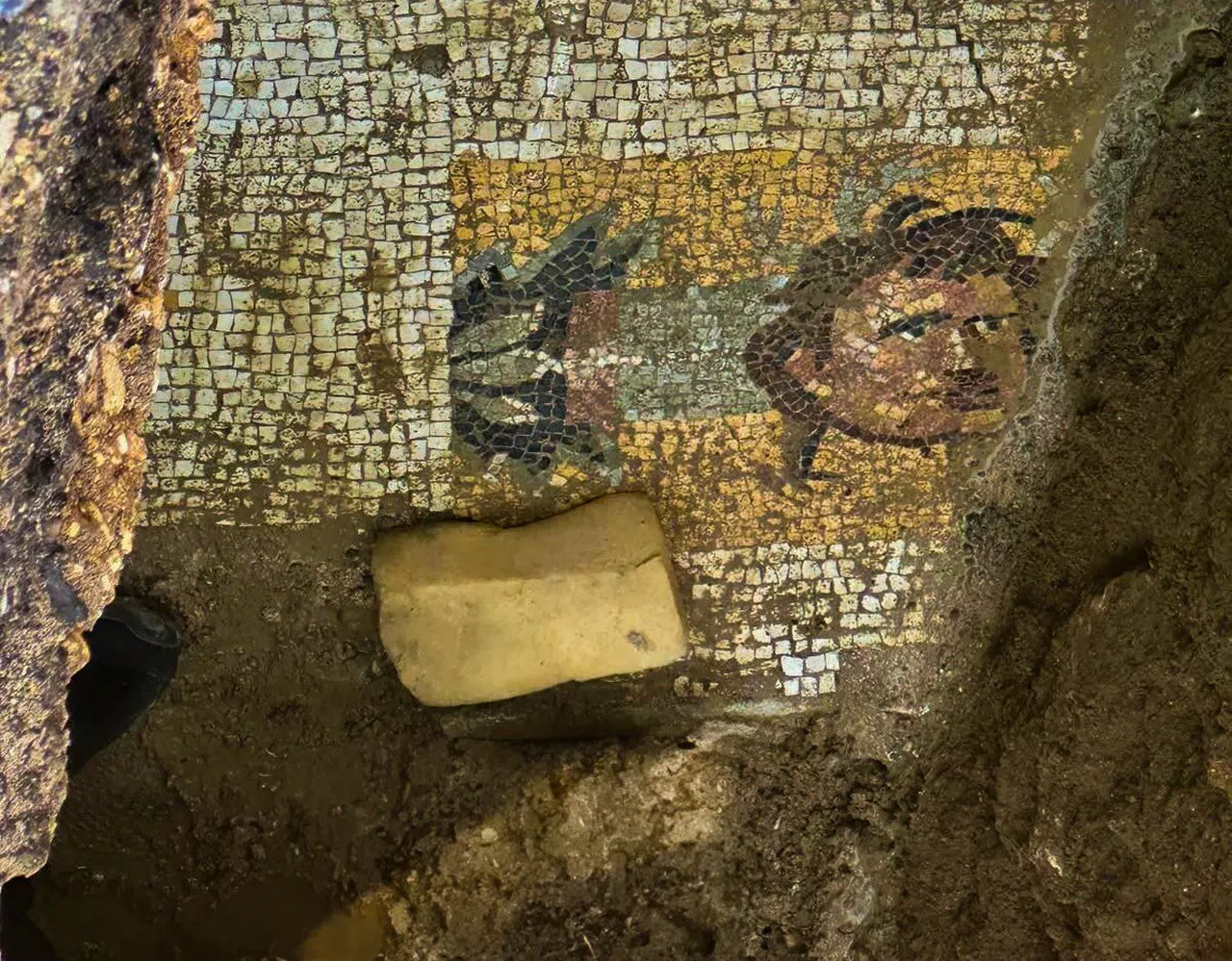 Kahramanmaraş’ta Altyapı Çalışmasında Taban Mozaiği Bulundu