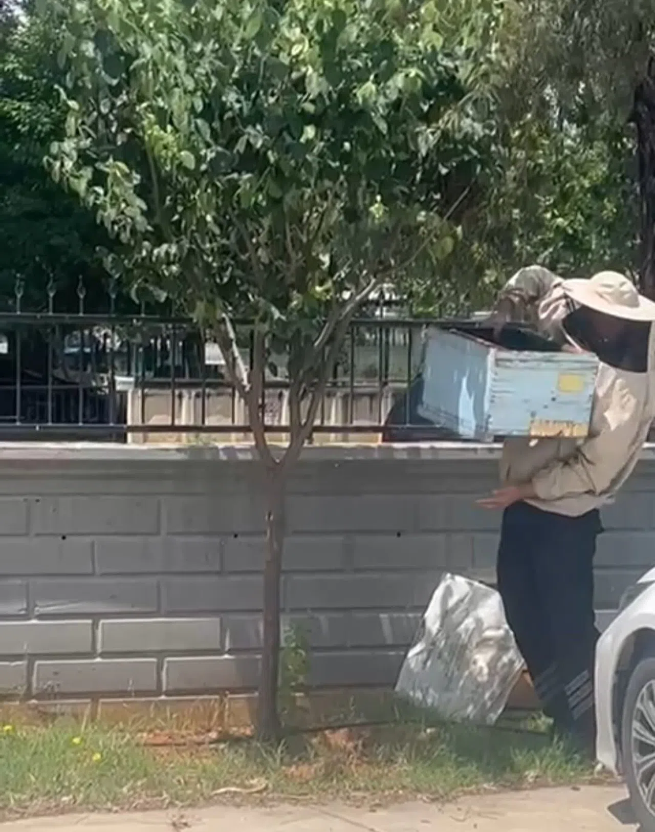 Güvenlik Görevlisi Oğul Veren Arıları Kovana Aldı