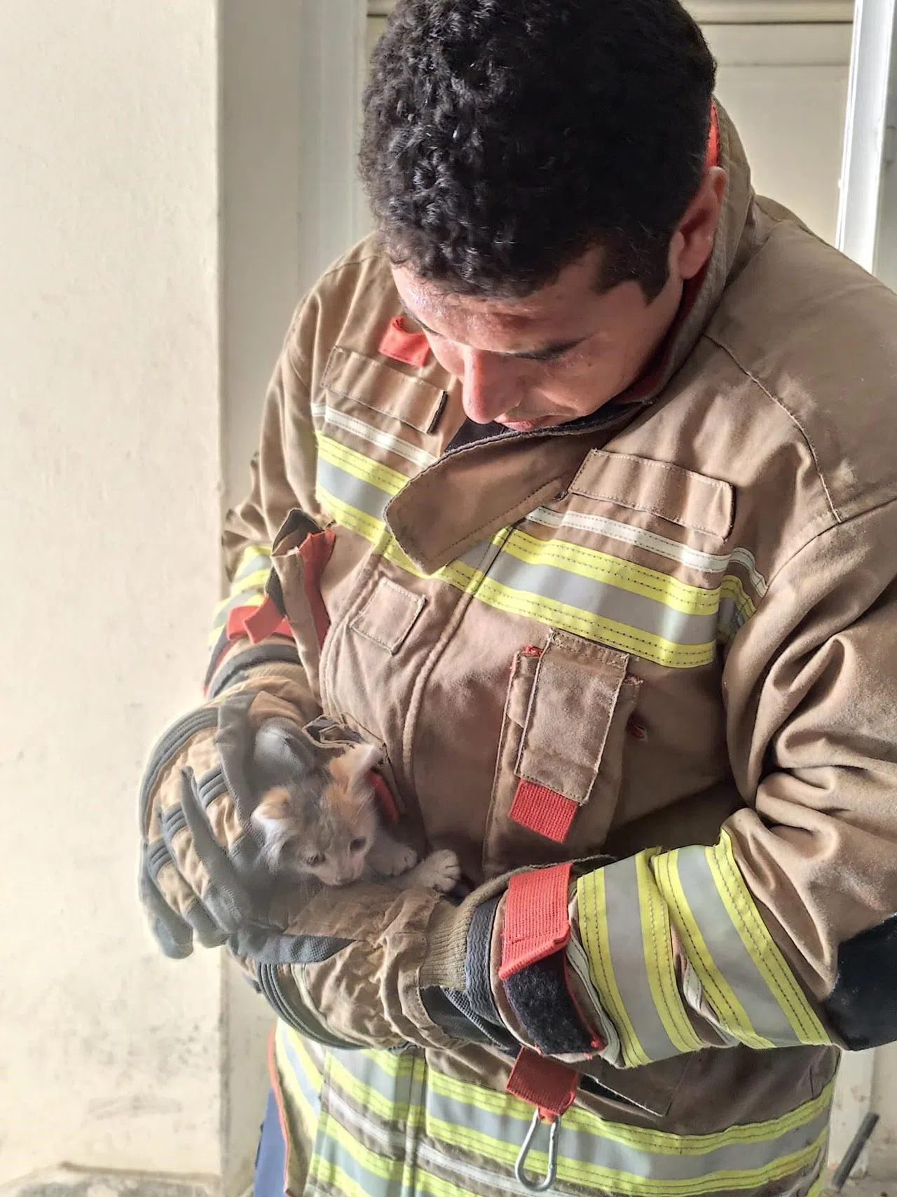 Havalandırma Boşluğuna Düşen Kediyi İtfaiye Kurtardı