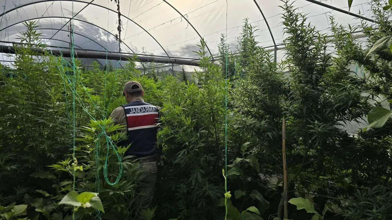 Jandarma Ekipleri 83 Şahsın Evinde Ve İş Yerinde Arama Yaptı