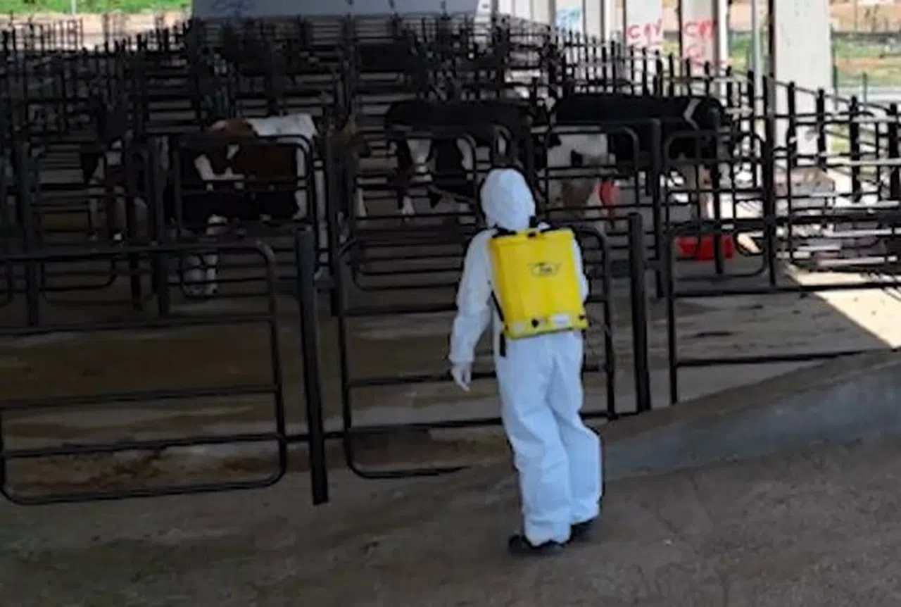 Kahramanmaraş Büyükşehir Belediyesi'nden Bayram Öncesi Hijyen Çalışmaları