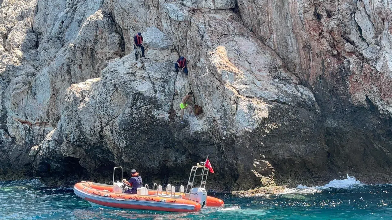 Kayalık Bölgede Mahsur Kalan Dağ Keçisi Kurtarıldı