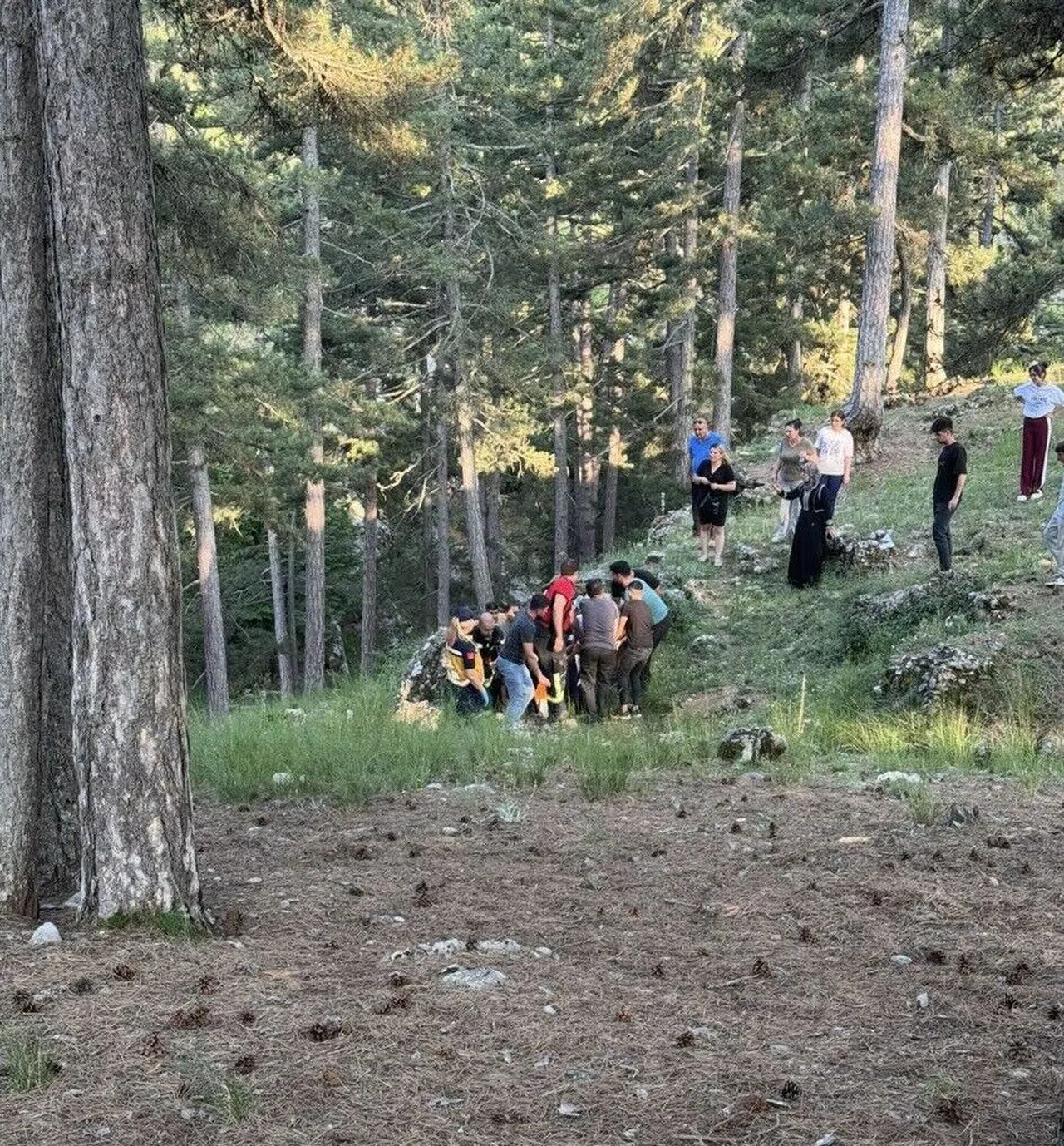 Kekik Toplarken Uçurumdan Yuvarlanan Kadın Yaralandı