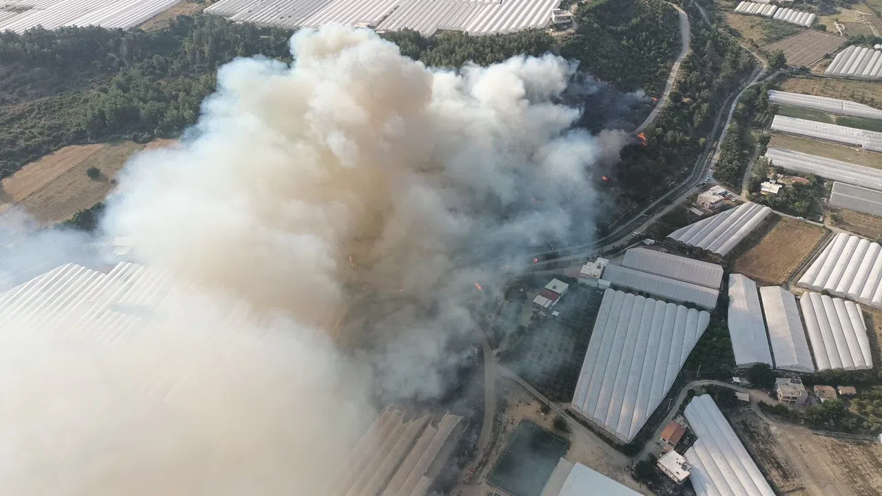 Korkutan Orman Yangını