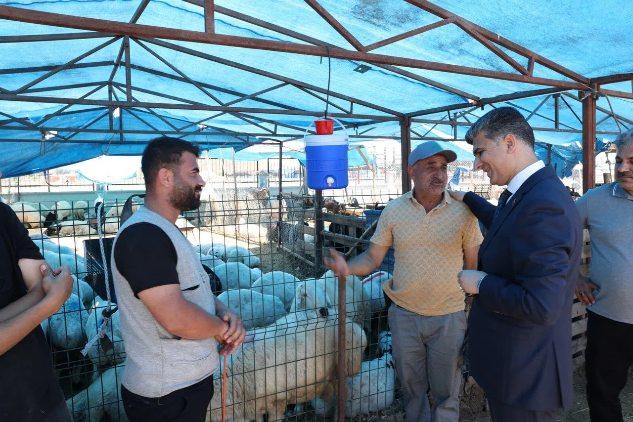 Kurban Satış Yerleri Hazır