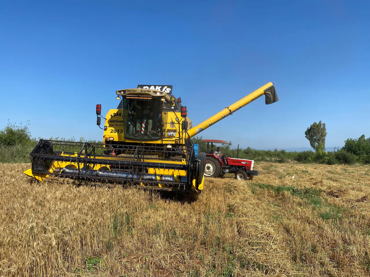 Mevsim Nedeniyle Buğday Hasadı Geç Başladı