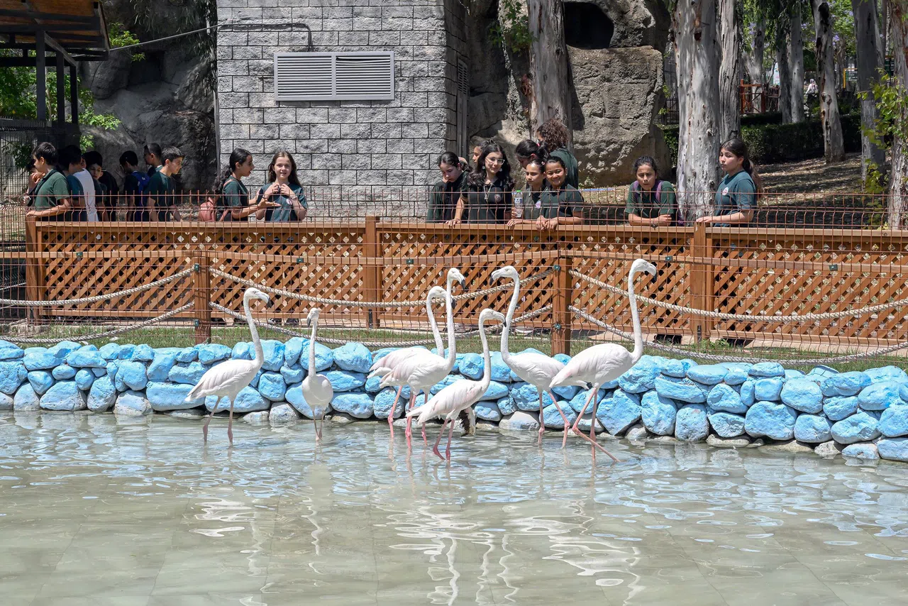 ‘Minikbüs Projesi' Çocuklara Gezi Ve Öğrenme Yolculuğu Sunuyor