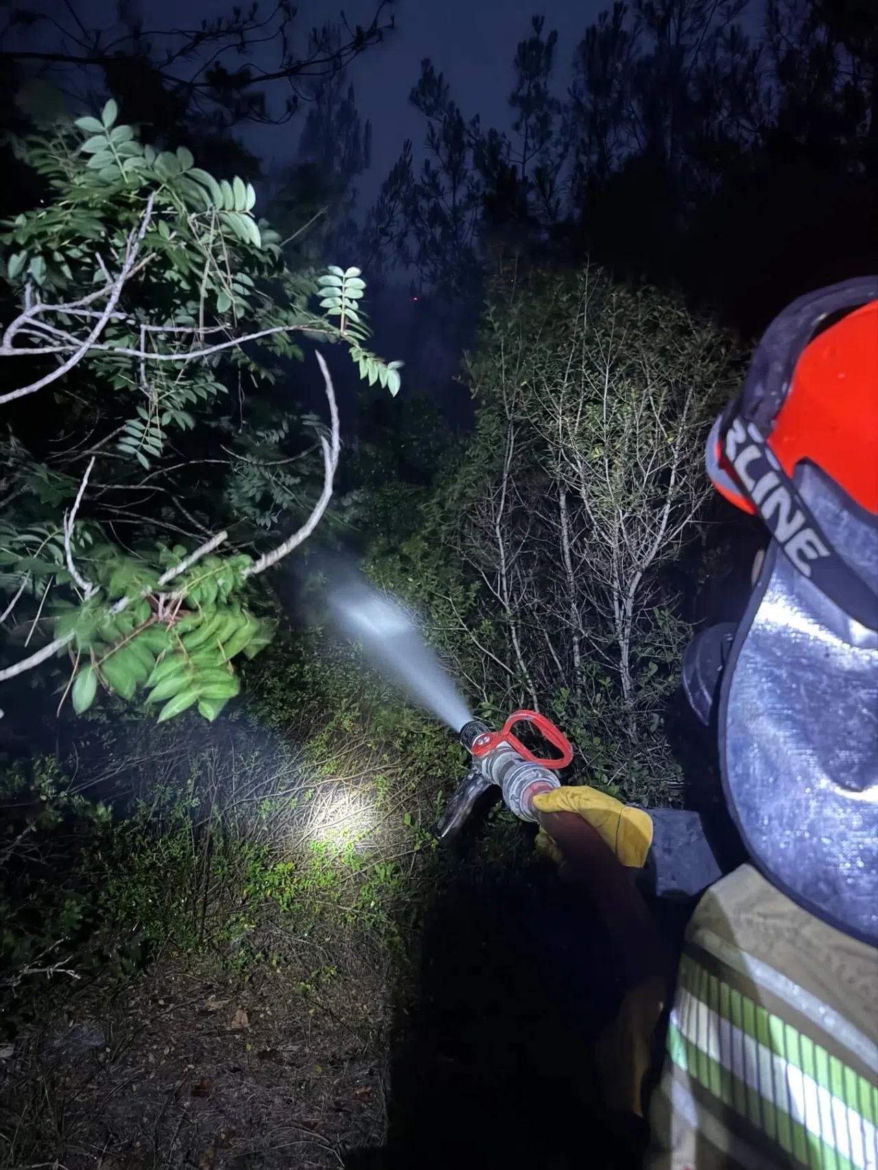 Orman Yangını Büyümeden Söndürüldü