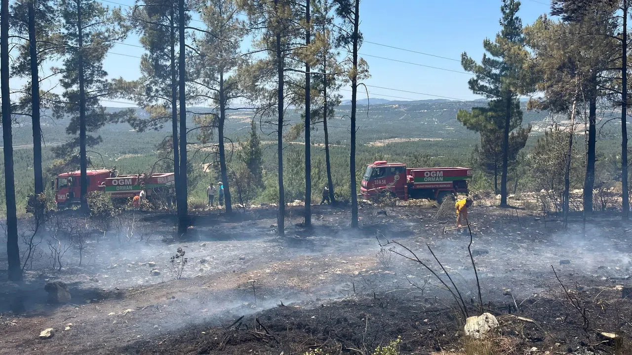 Orman Yangını Söndürüldü