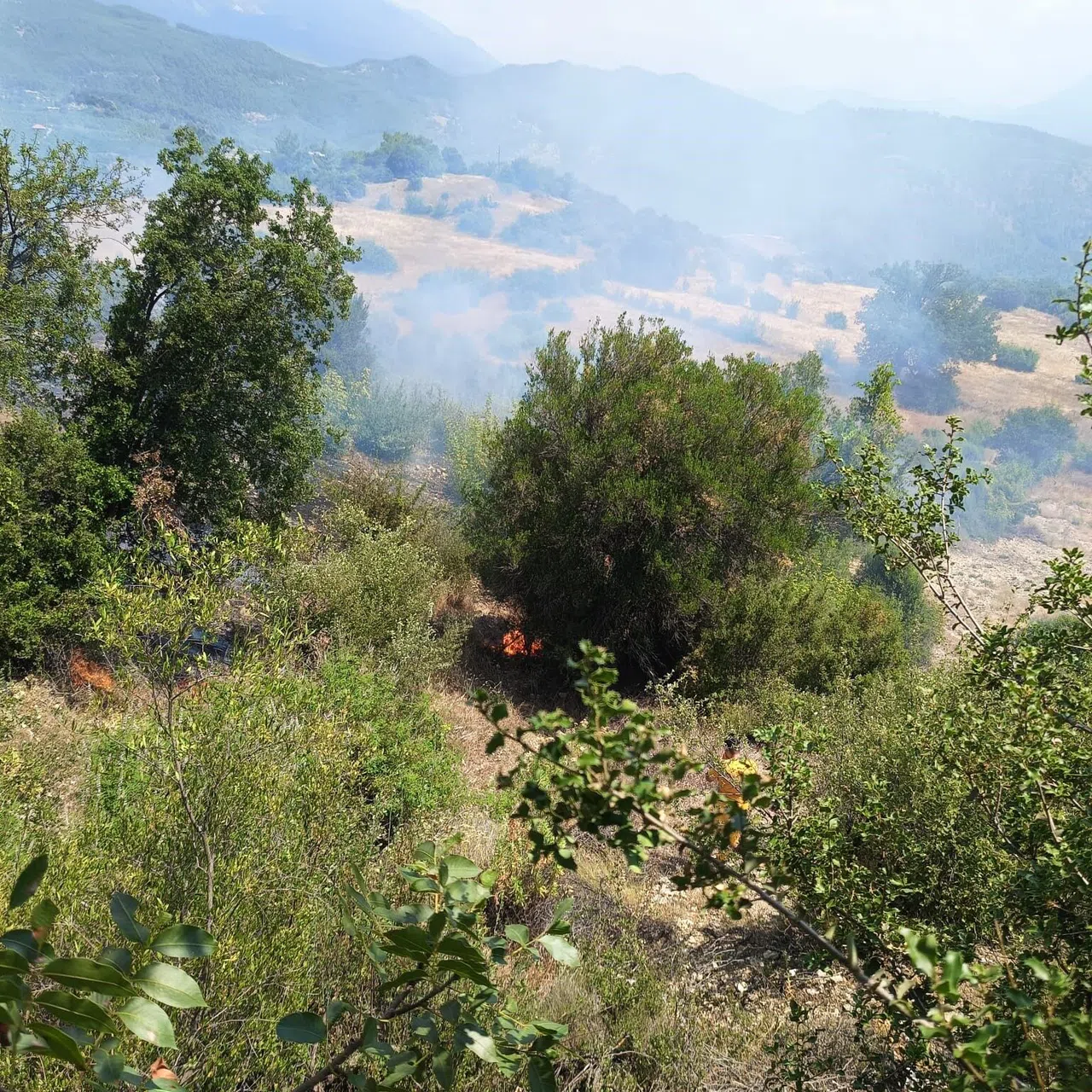 Ormanı Tehdit Eden Yangın Kontrol Altına Alındı