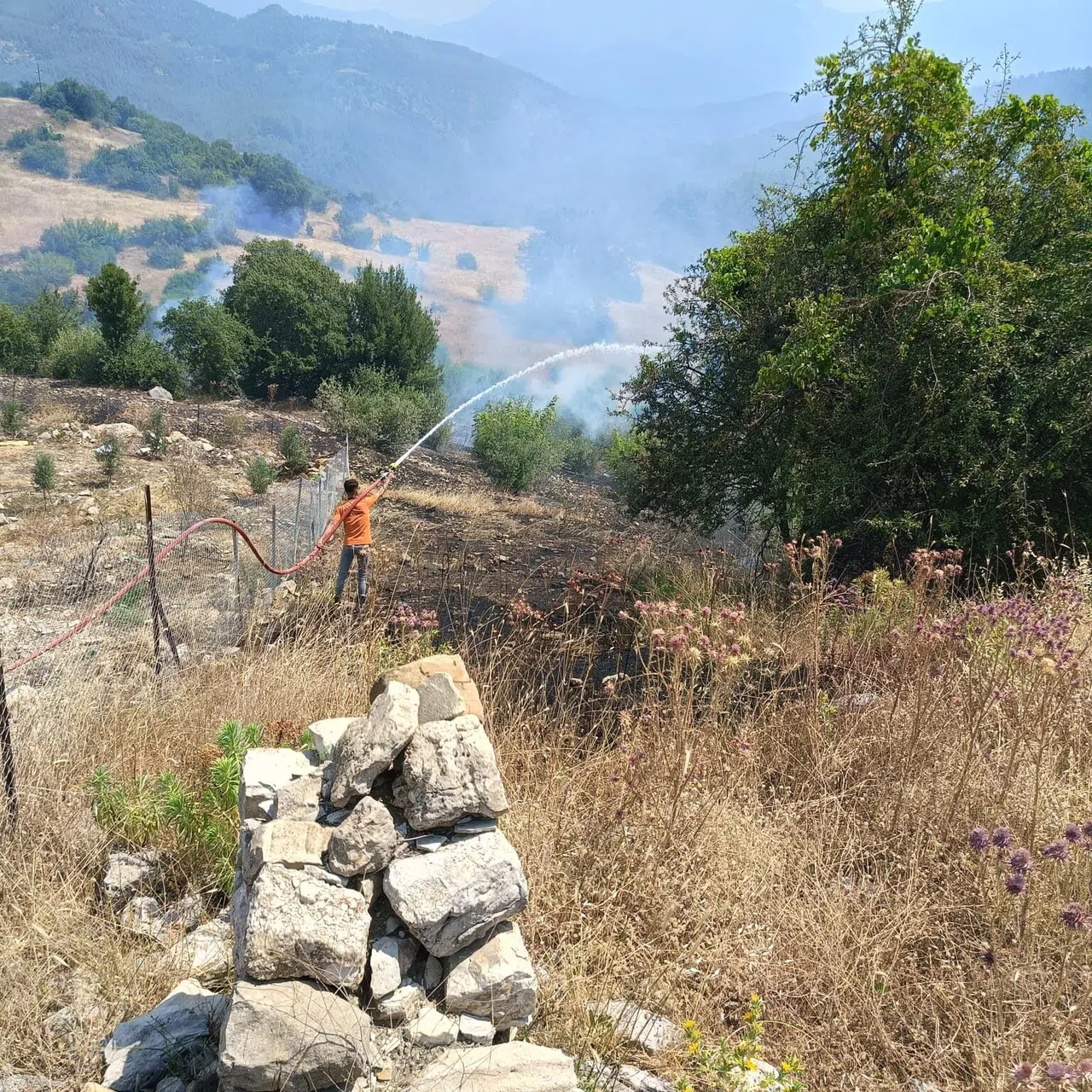 Ormanlık Alanı Tehdit Eden Yangına Müdahale Ediliyor