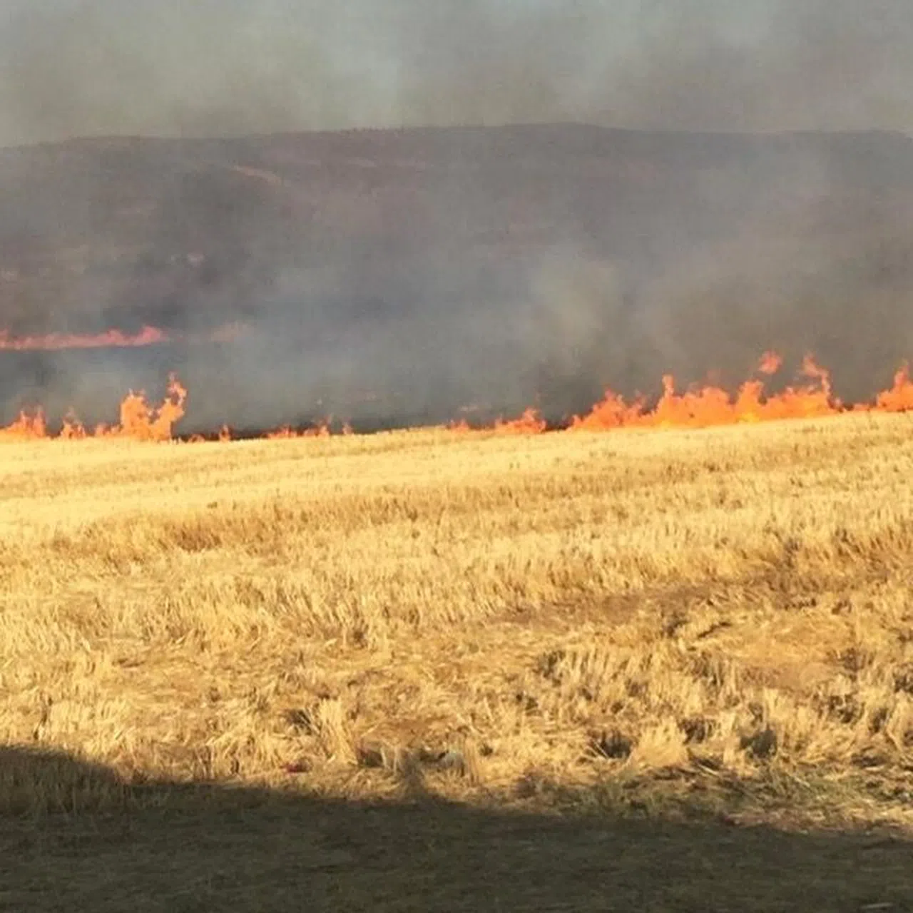 Kahramanmaraş'ta Anız Uyarısı: Toprağı Korumak Ortak Sorumluluğumuz