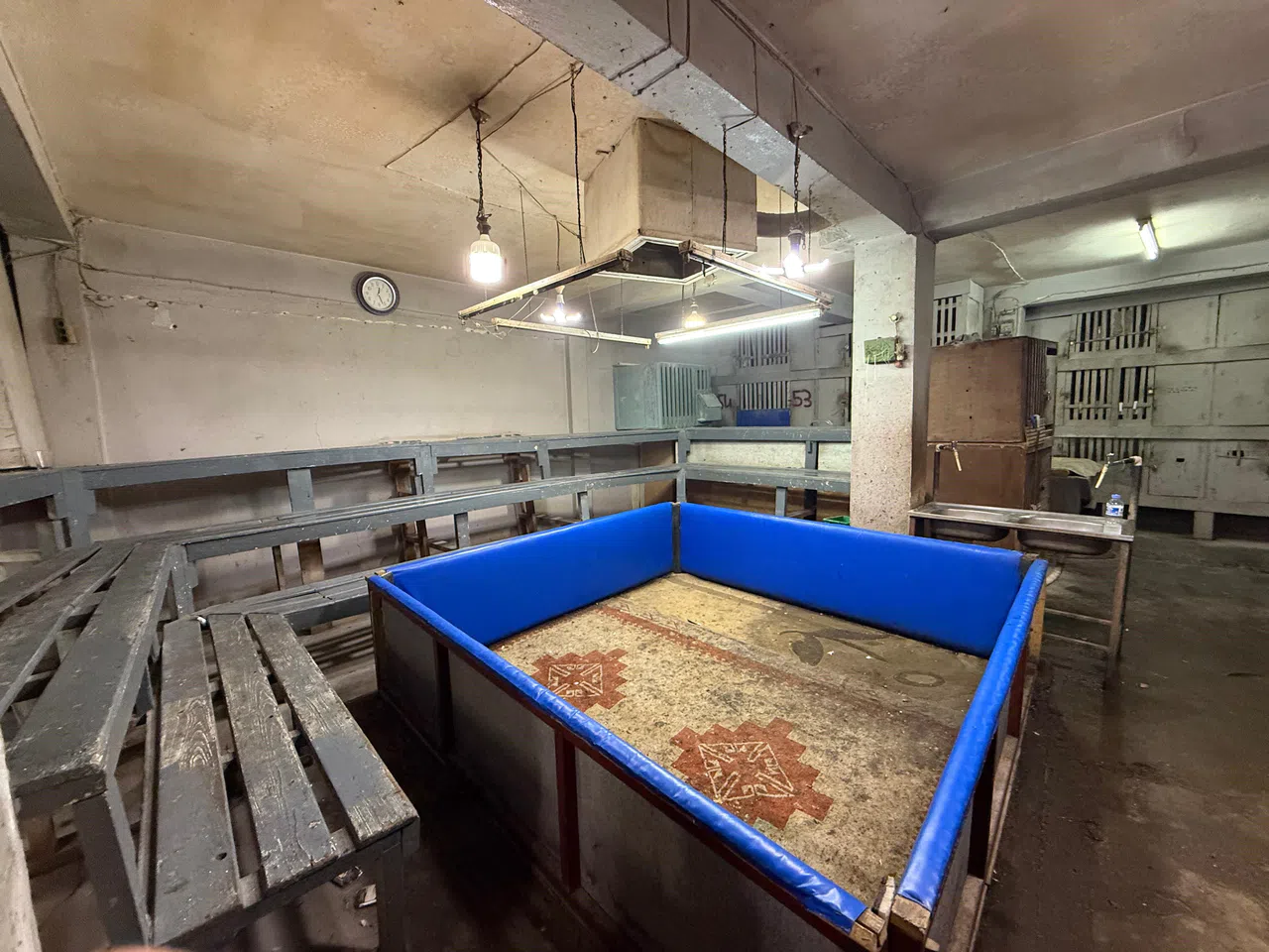 Polis Müşteri Gibi Girdi, Horoz Dövüşüne Suçüstü Operasyon Yaptı