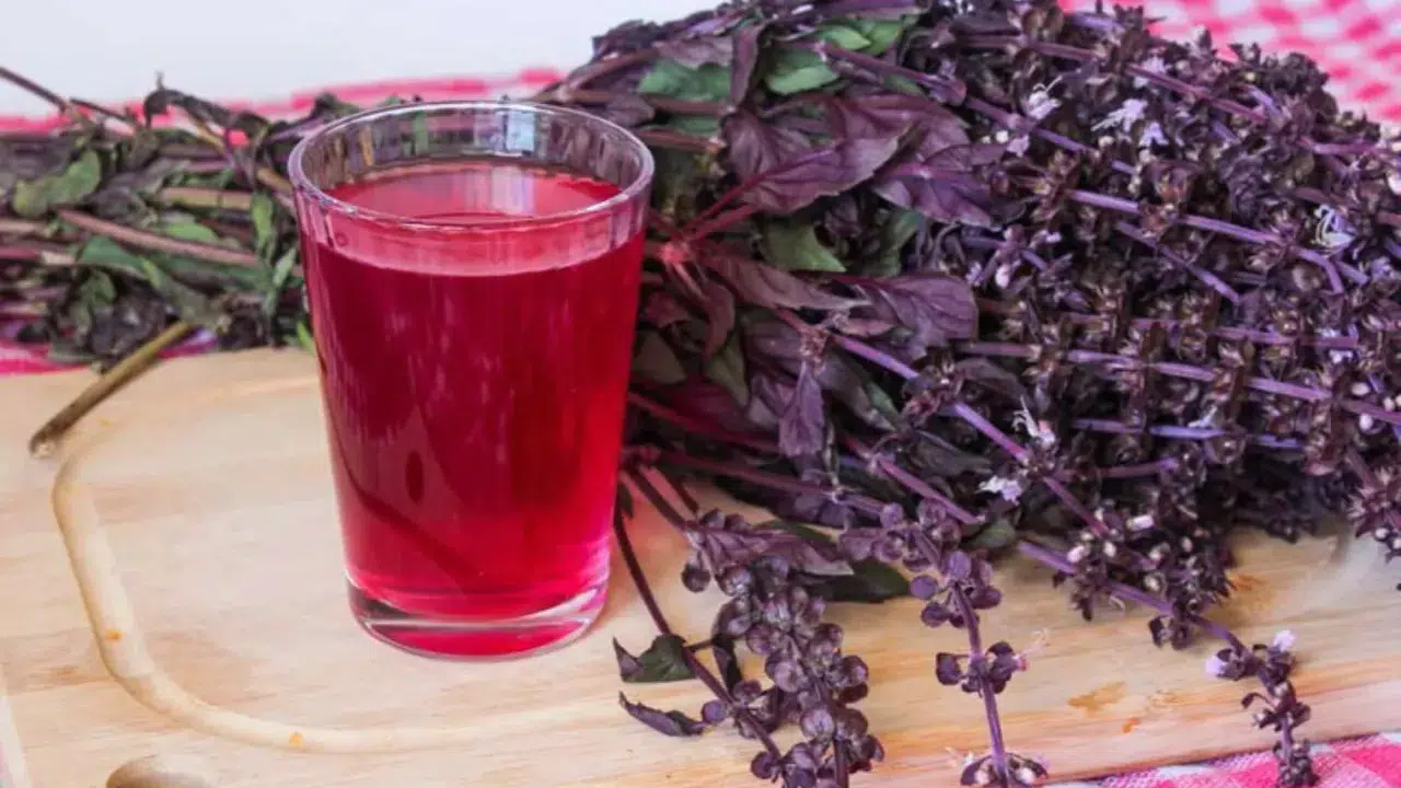 Kahramanmaraş’ın Geleneksel Lezzeti: Reyhan Şerbeti