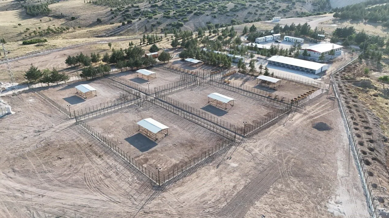 Sahipsiz Hayvanlar İçin Modern Rehabilitasyon Ve Doğal Yaşam Tesisi Açıldı