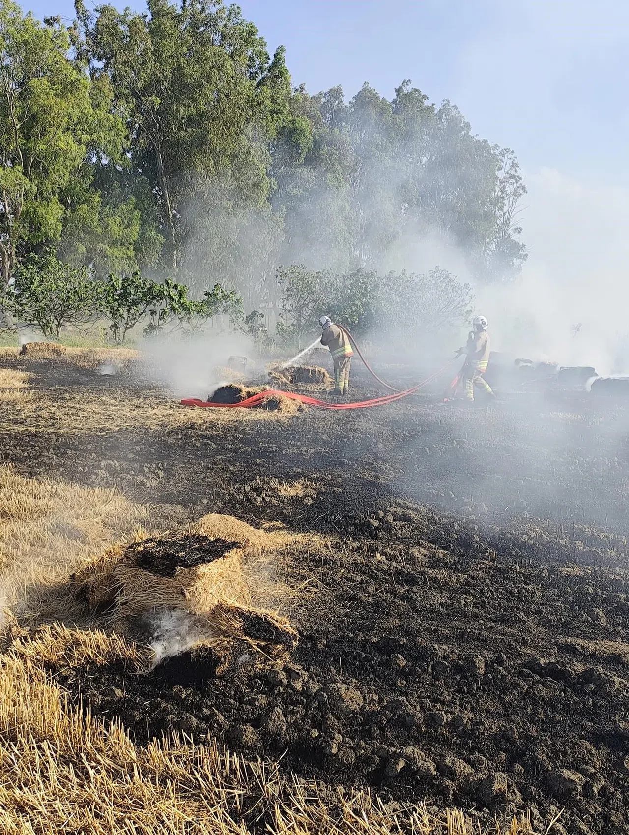 Saman Balyaları Yandı
