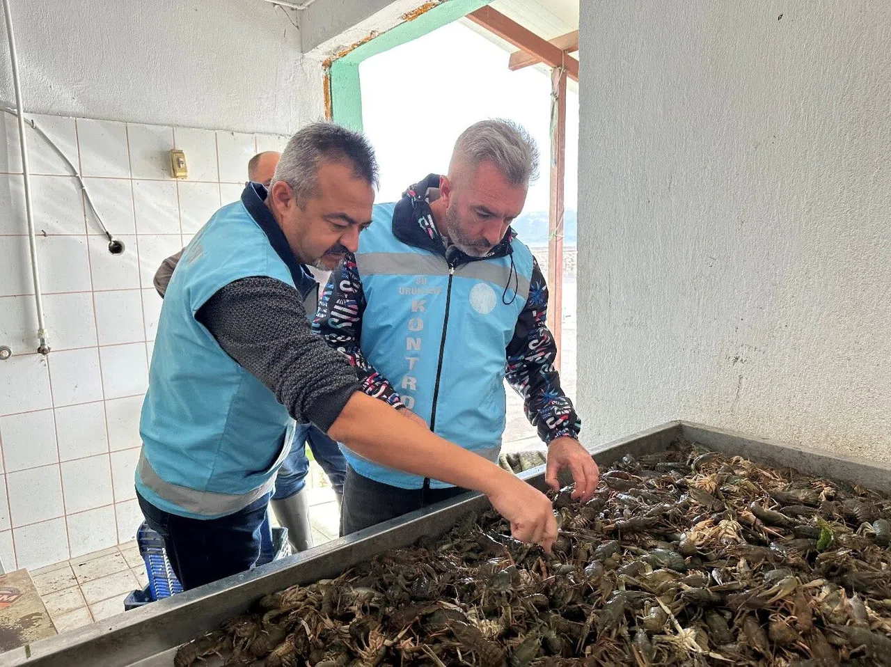 Su Ürünleri Av Yasağı Bugün İtibarıyla Sona Erdi