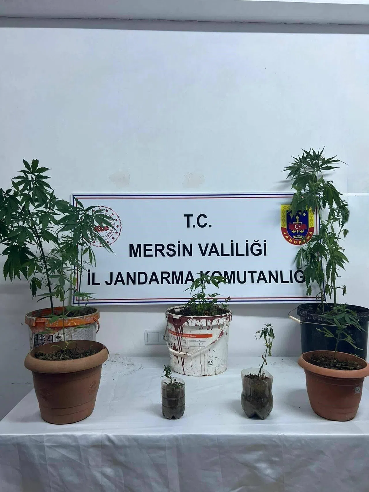 Uyuşturucu Operasyonu: 4 Şüpheli Yakalandı