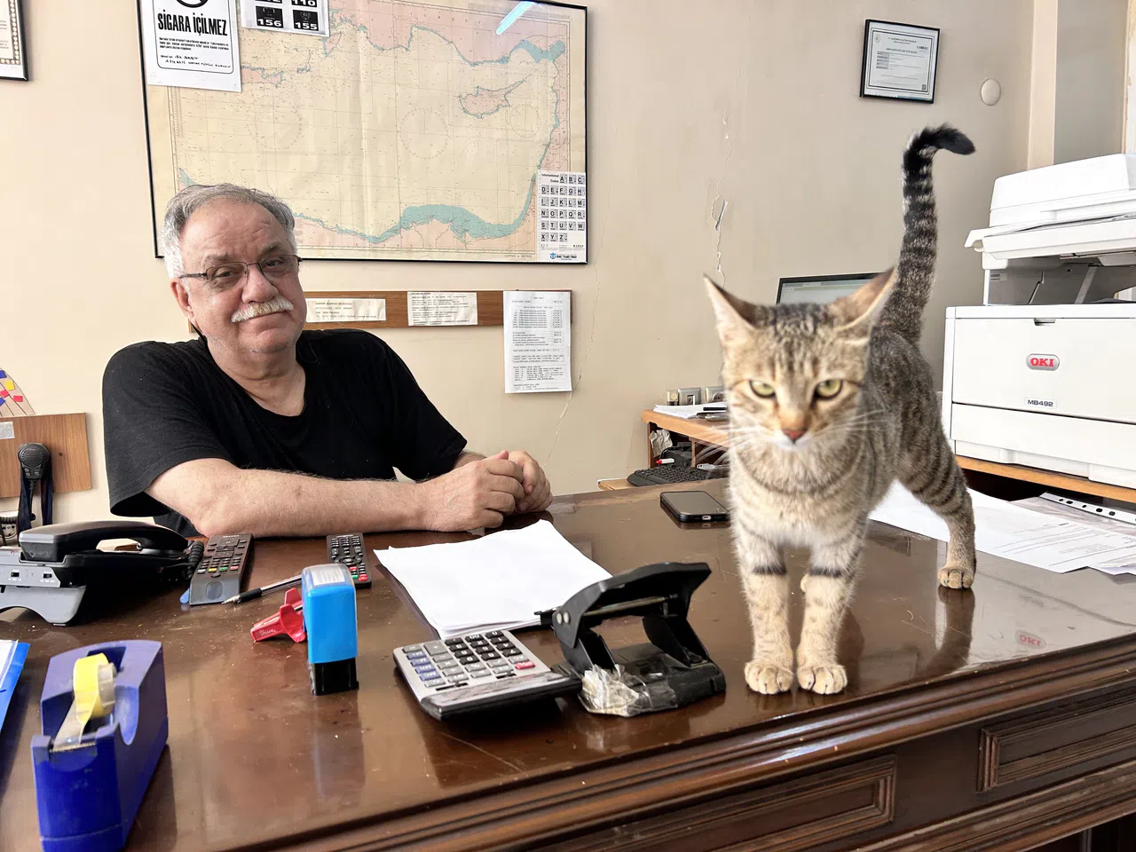 Yavrularını Ağzıyla Ofise Taşıyan Anne Kedi Yürekleri Isıttı