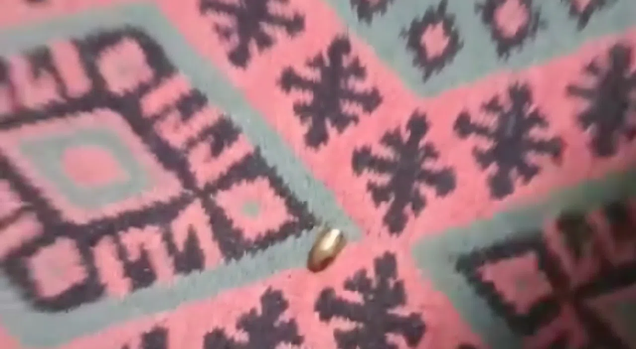 Yorgun Mermi, Ailenin Oturduğu Çardağa İsabet Etti