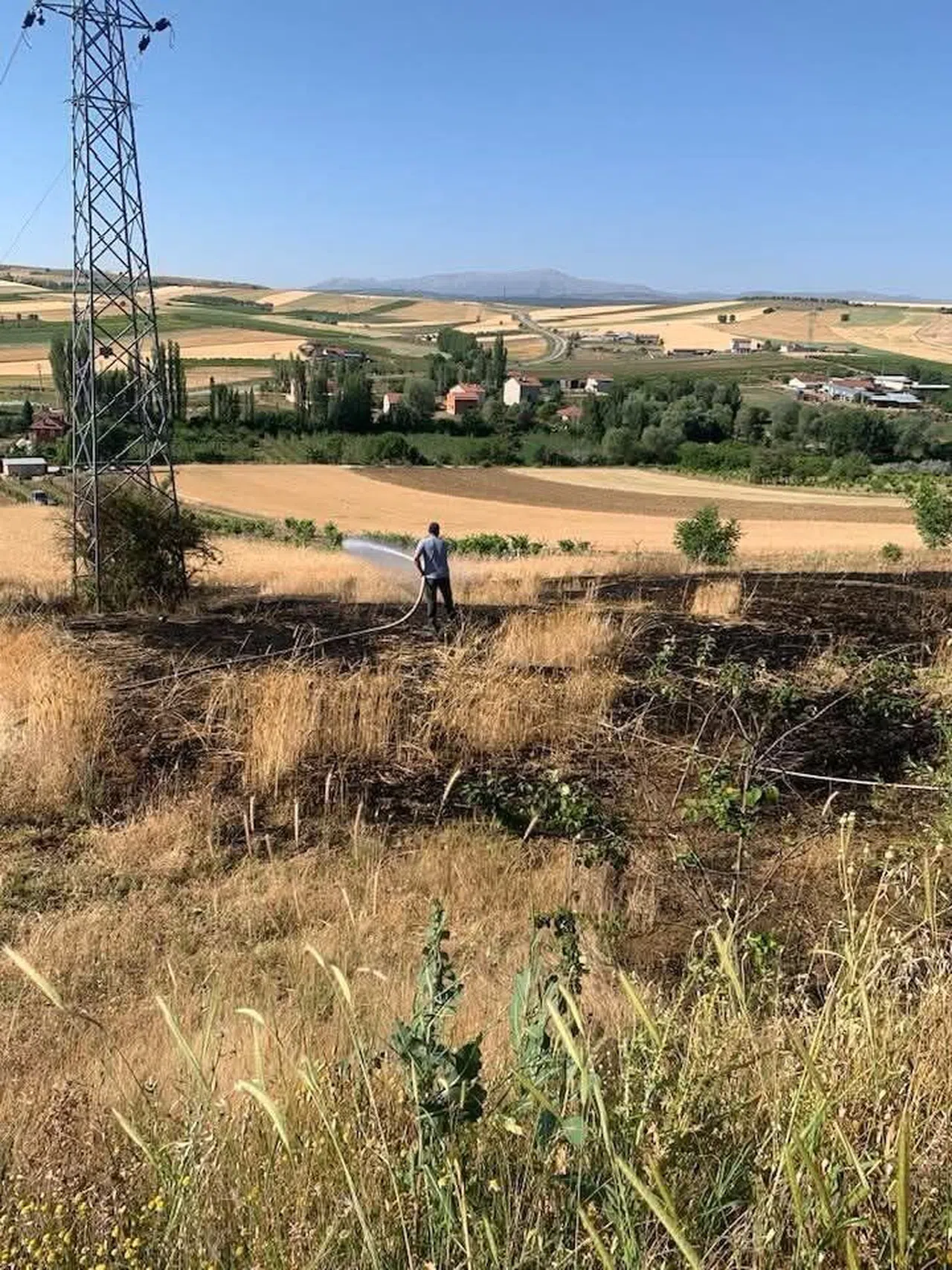 Yüksek Gerilim Hattı Koptu, Buğday Tarlası Alev Aldı
