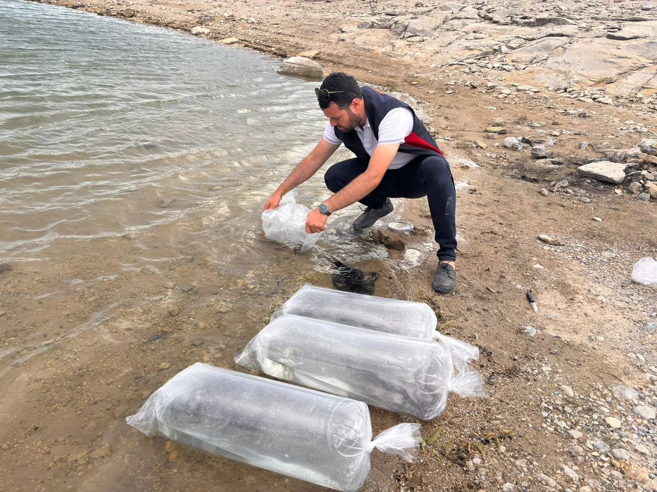 5 Bin Yayın Ve Sazan Balığı Bırakıldı