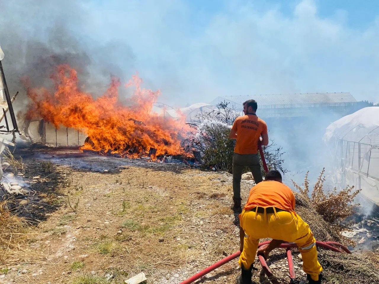 Çalılıklarda Başlayan Yangın 2 Seraya Zarar Verdi