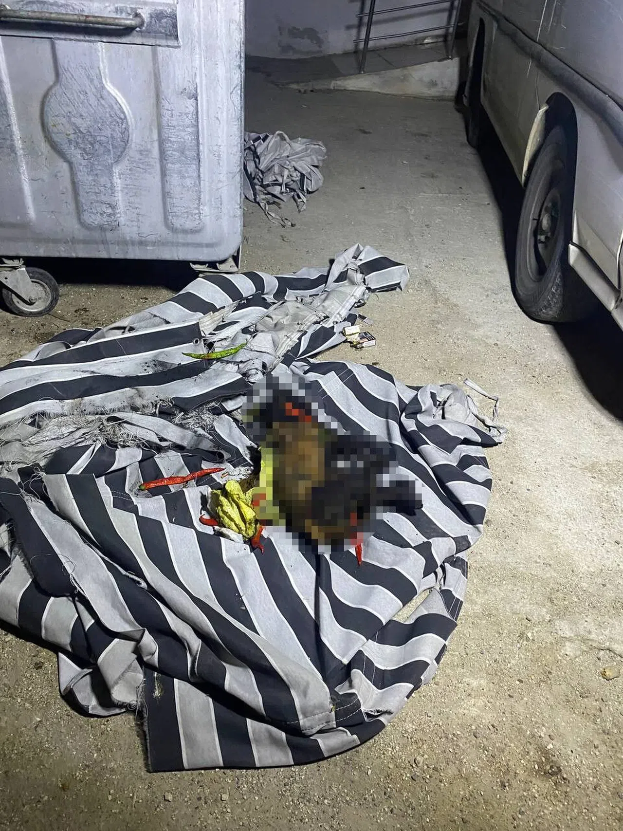 Çöp Konteynerindeki Yangın Sonrası Köpeğin Telef Olduğu Ortaya Çıktı