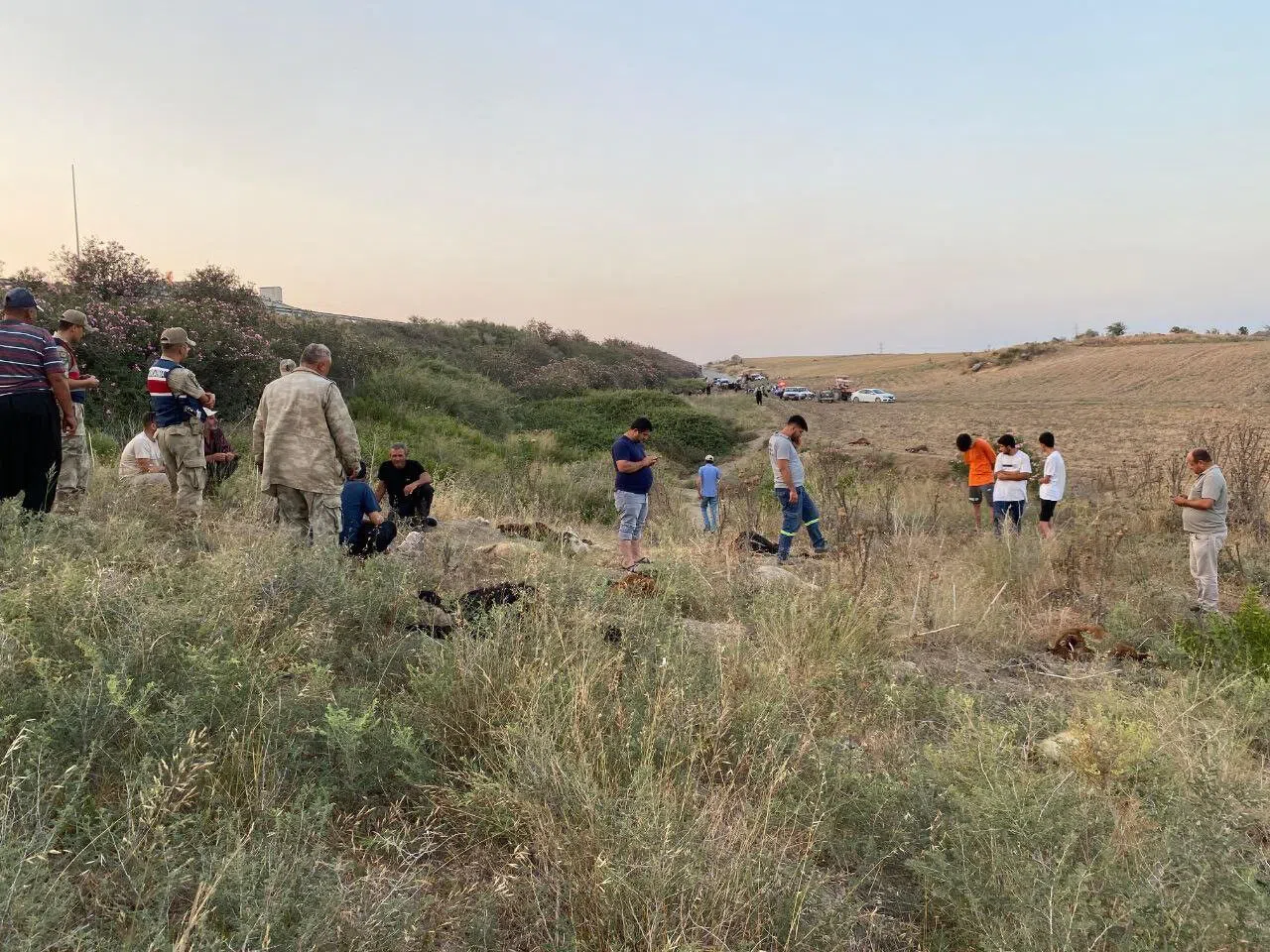 Dereden Su İçen 64 Küçükbaş Hayvan Telef Oldu