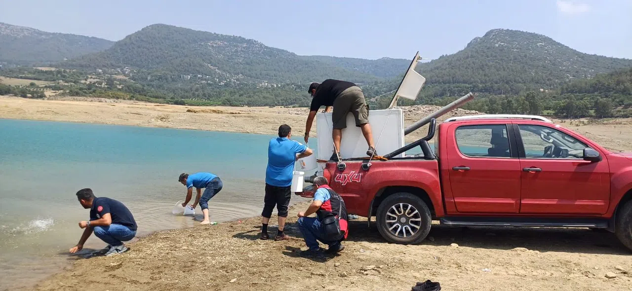 321 Bin Yavru Sazan, Baraja Bırakıldı