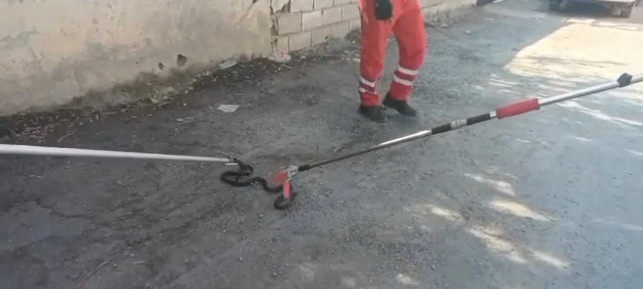 Evin Bahçesine Giren Yılanı İtfaiye Yakaladı